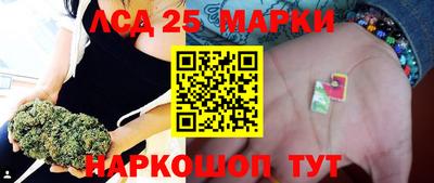 винт Можга
